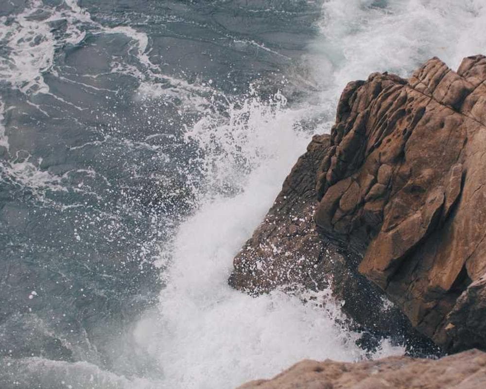 [EN] PetRebels Wall of Rebels scratching post (AliceBlue expedita #757)