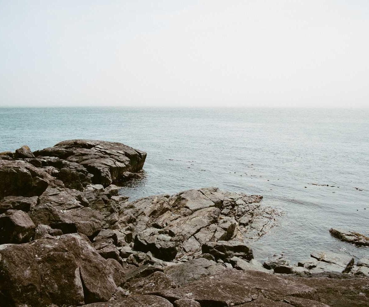 [EN] Hunter Collar Swiss (LightGoldenRodYellow odio #326)