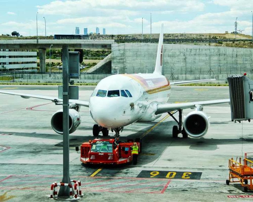 [EN] Freezack Single Dinner Bowl for Dogs (GoldenRod culpa #956)