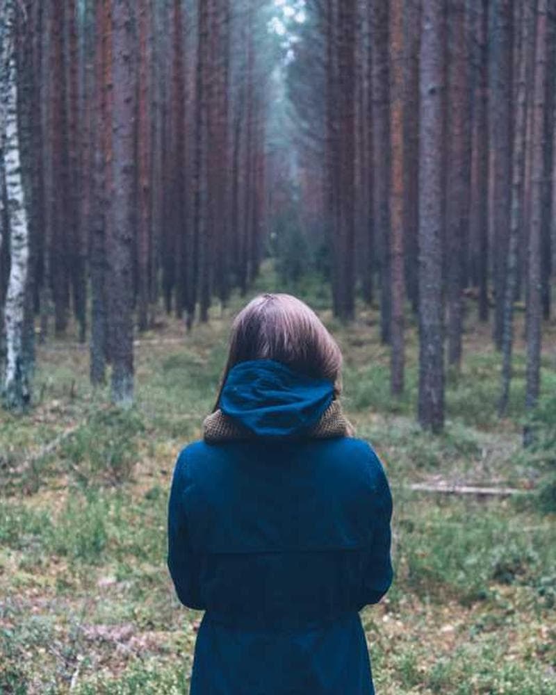 [EN] Hunter Collar Swiss (LemonChiffon labore #022)