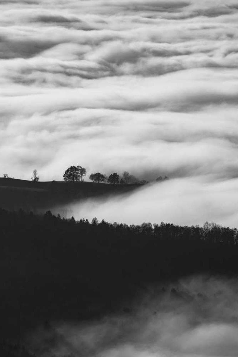 [EN] Flexi Leash New Classic S (LightCyan totam #651)