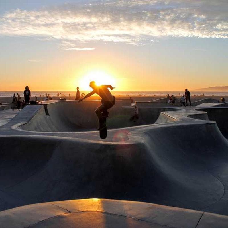 [EN] Flexi Leash New Classic S (Silver aut #721)