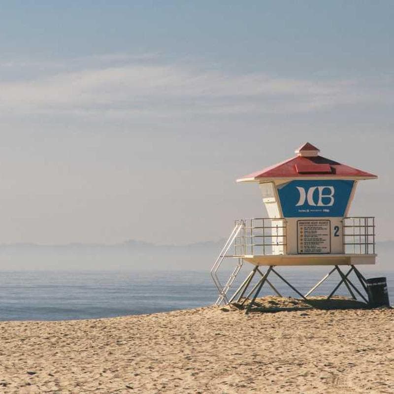 [EN] Flexi Leash New Classic S (DarkKhaki labore #085)