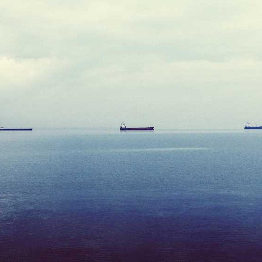 [EN] Furminator Deshedding Tool M (PaleTurquoise id #258)