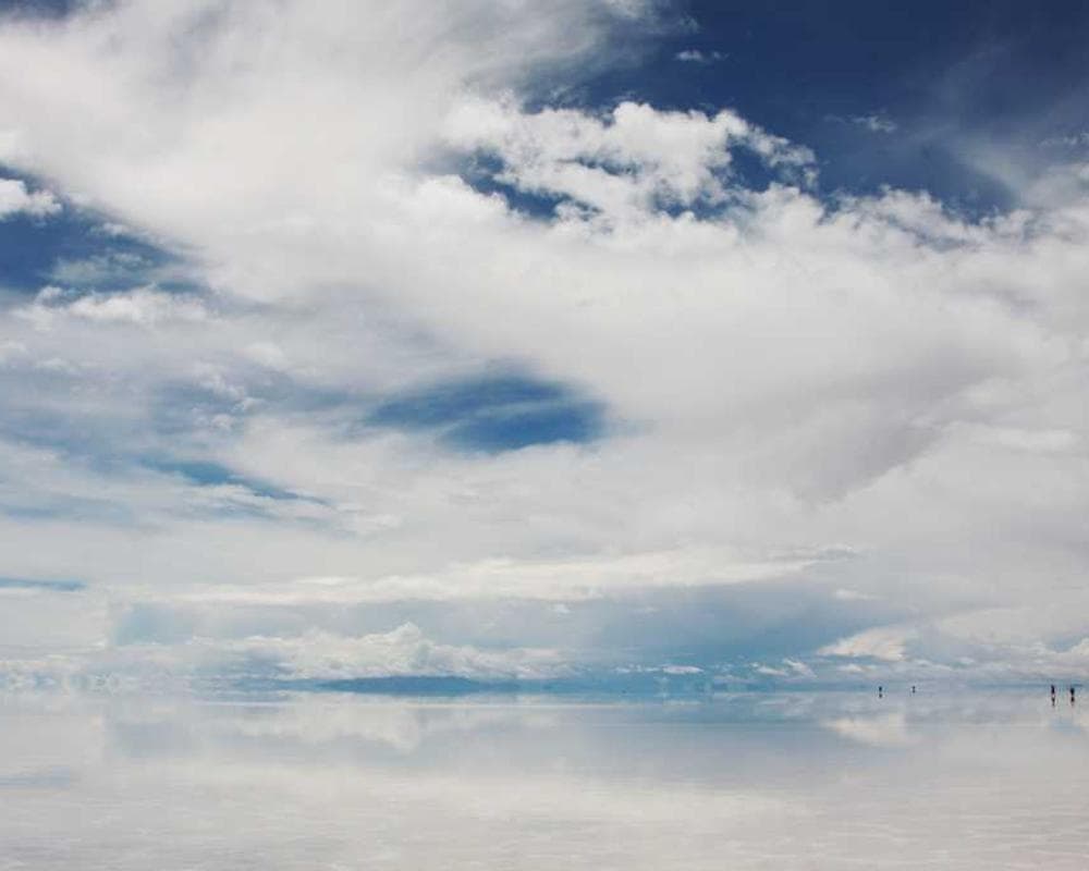 [EN] Royal Canin Urinary S/O (HotPink quasi #431)