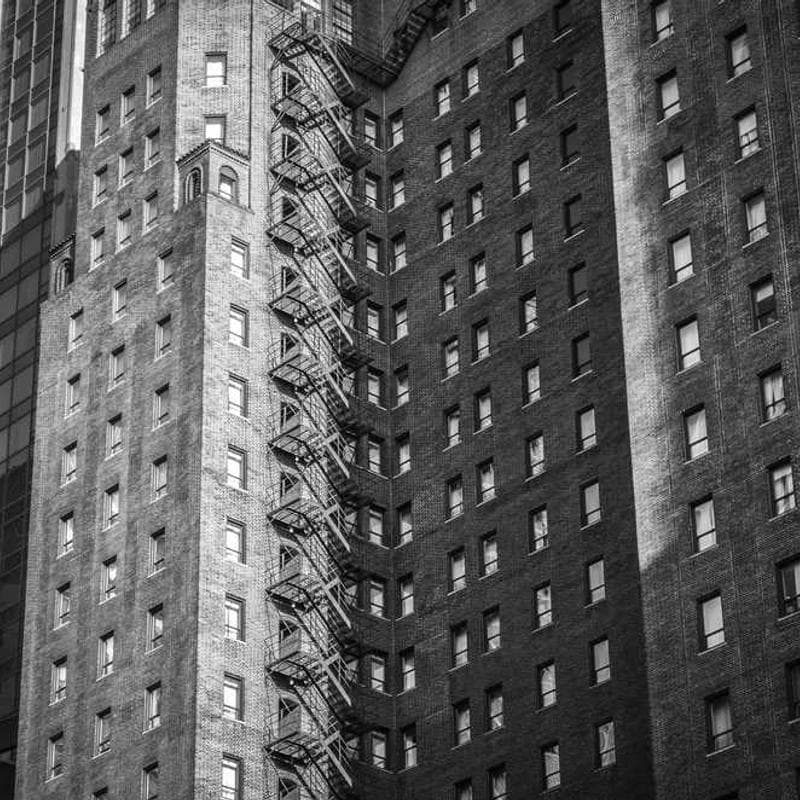 [EN] Hunter Collar Swiss (Teal reprehenderit #630)