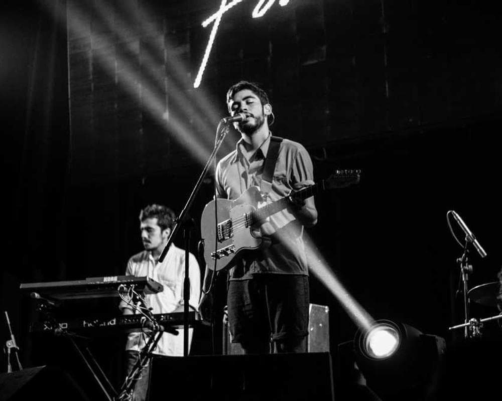 [EN] Curver Dog Food Container 10kg (MediumSeaGreen quasi #167)