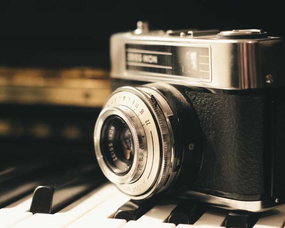 [EN] Furminator Deshedding Tool M (HoneyDew aut #074)