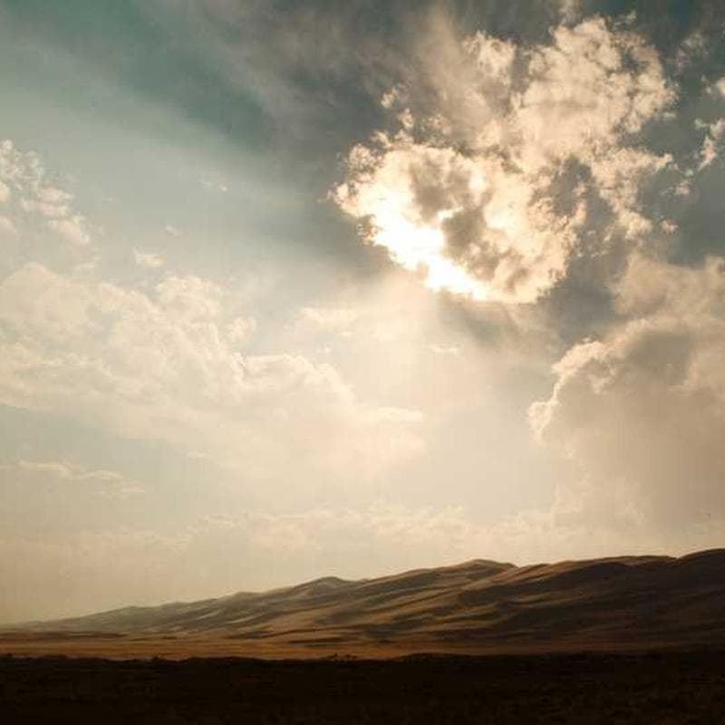 [EN] PetRebels Wall of Rebels scratching post (WhiteSmoke atque #041)