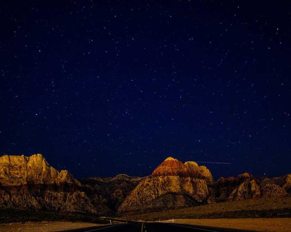 [EN] PetRebels Wall of Rebels scratching post (Khaki mollitia #425)