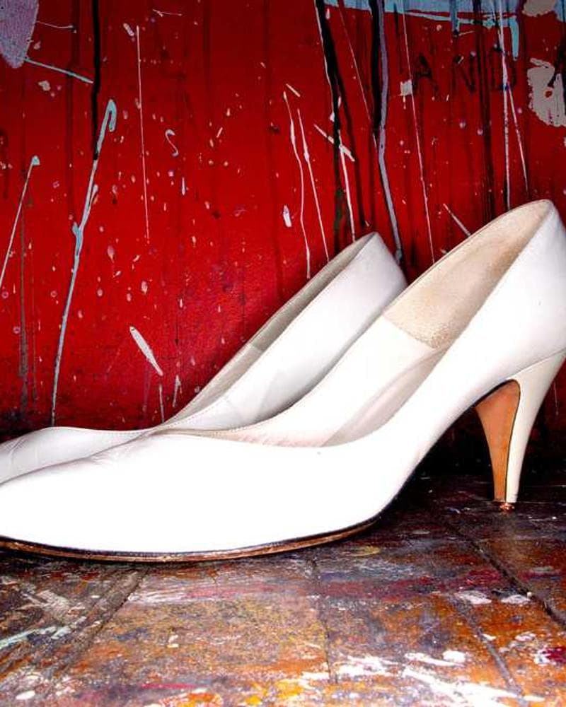 [EN] Freezack Single Dinner Bowl for Dogs (RosyBrown praesentium #887)