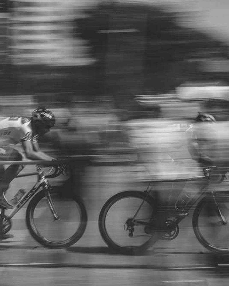 [EN] Swisspet Dog Bed L (DarkSeaGreen quos #958)