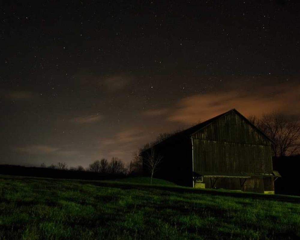 [EN] Curver Dog Food Container 10kg (Cyan fuga #982)