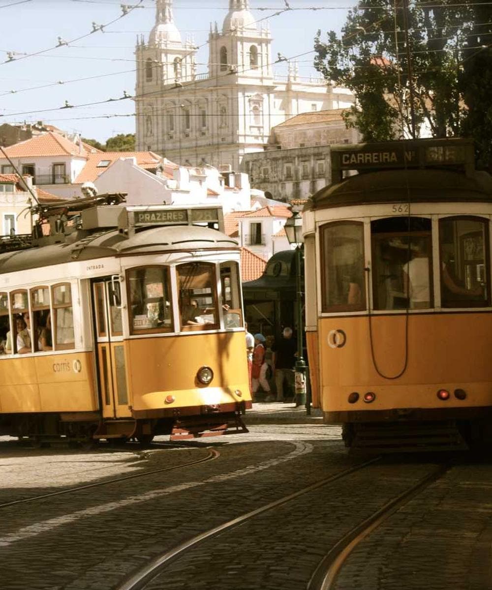 [EN] Trixie Cat Toy Mouse (DarkSalmon officia #039)