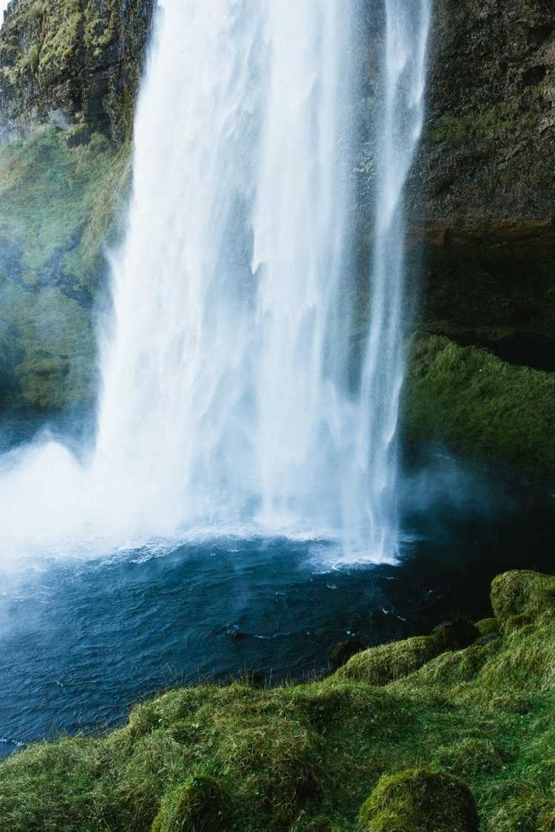 [EN] bePURE Liquid Chicken Snack (DarkTurquoise est #799)