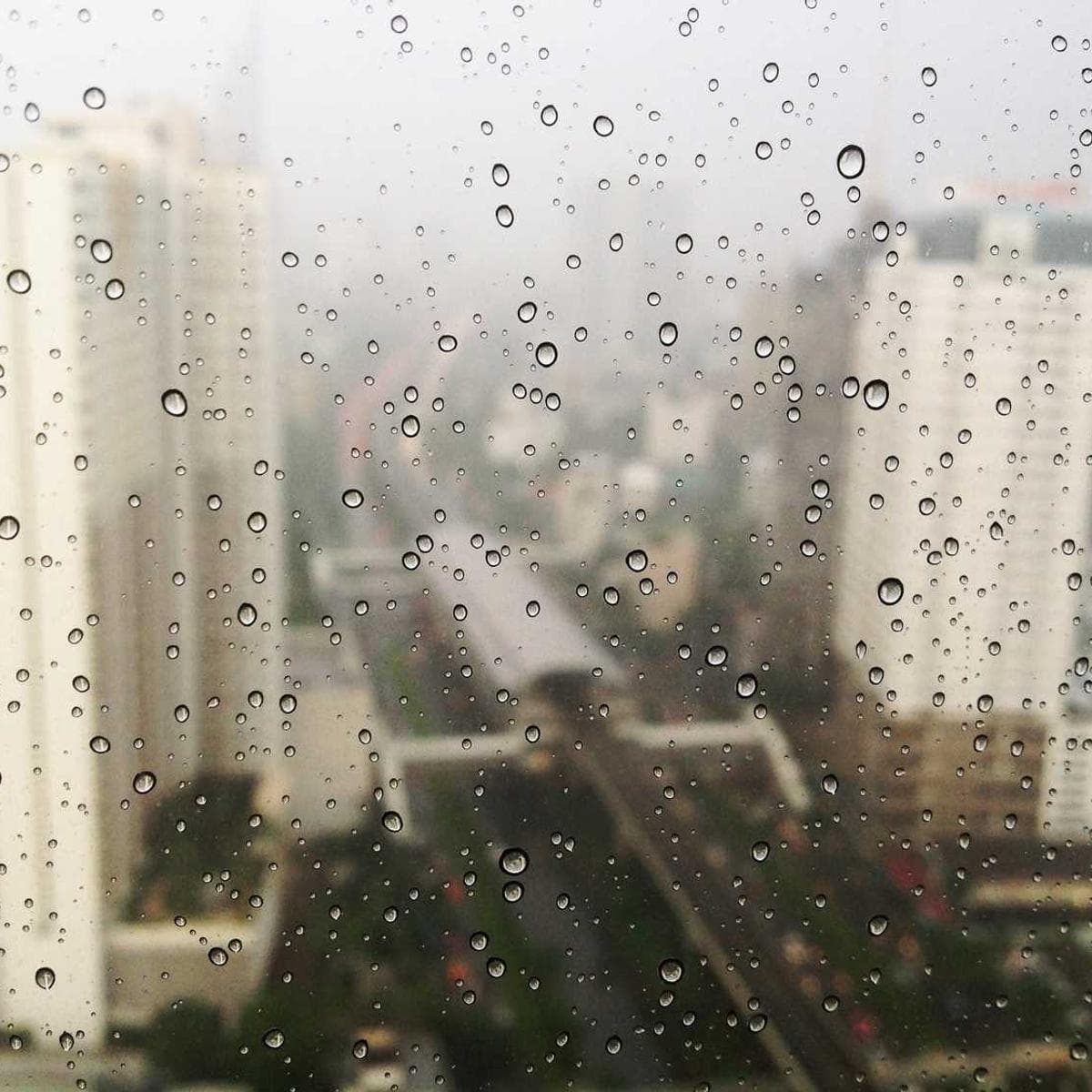 [EN] Flexi Leash New Classic S (MistyRose porro #994)