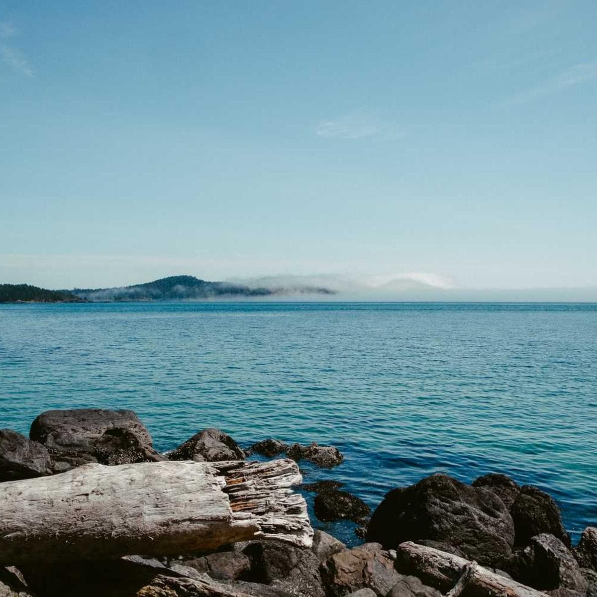 [EN] PetRebels Wall of Rebels scratching post (Indigo harum #082)