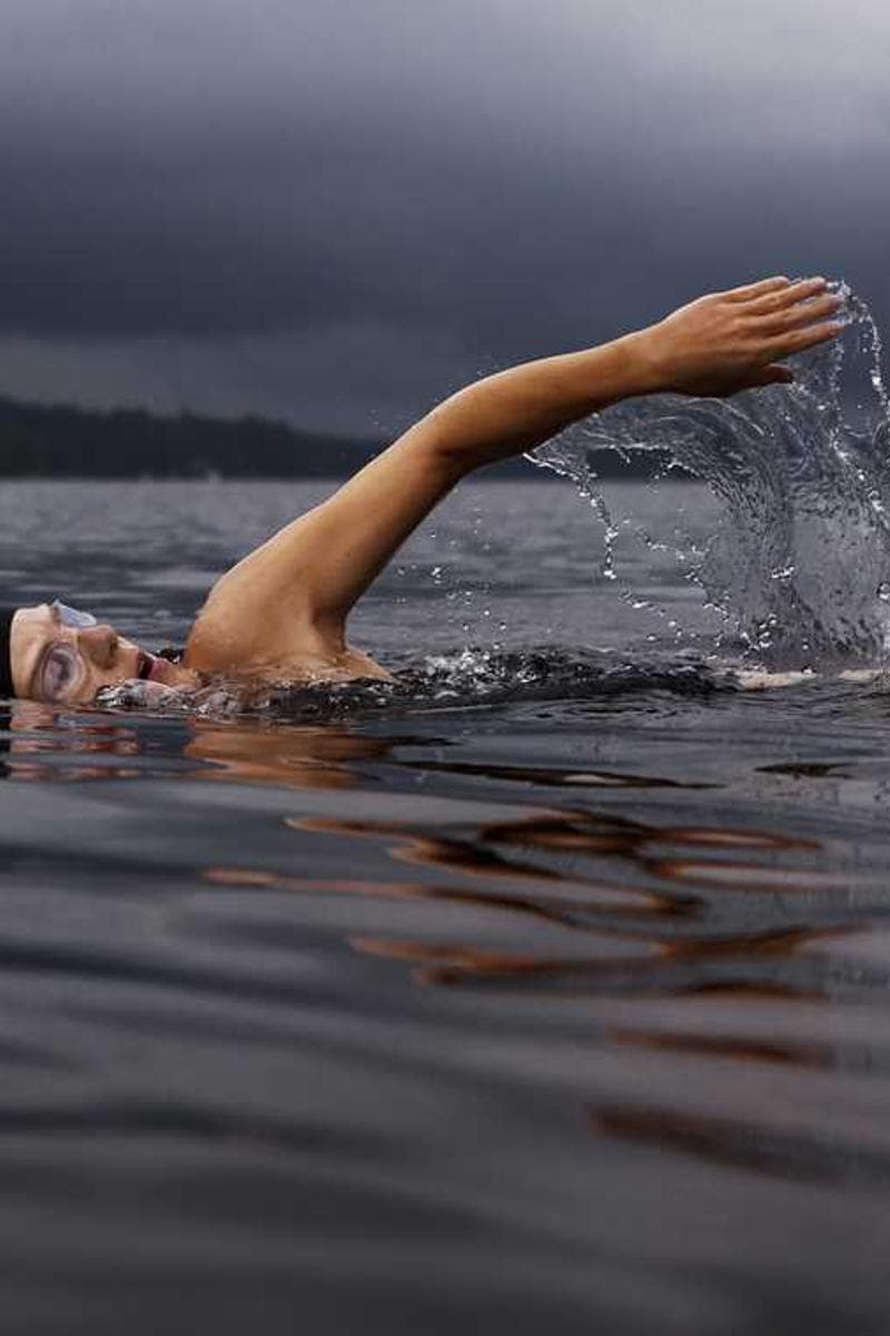 [EN] Trixie Cat Toy Mouse (Brown quibusdam #582)