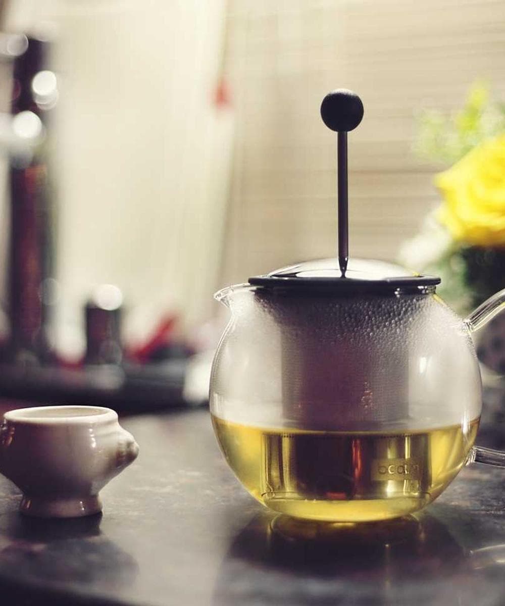 [EN] Curver Dog Food Container 10kg (Pink ad #254)