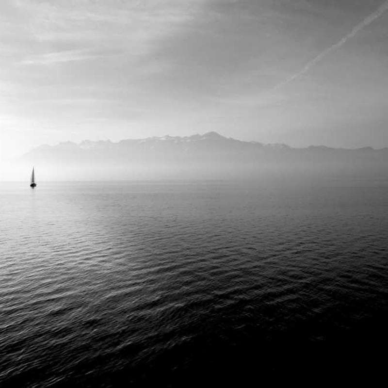 [EN] Trixie Cat Toy Mouse (Plum quia #704)