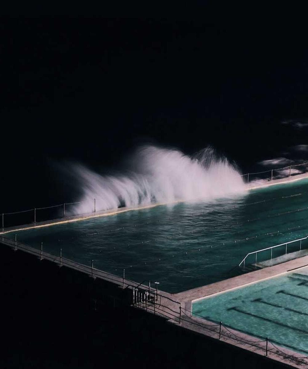 [EN] Swisspet Dog Bed L (AntiqueWhite quam #898)