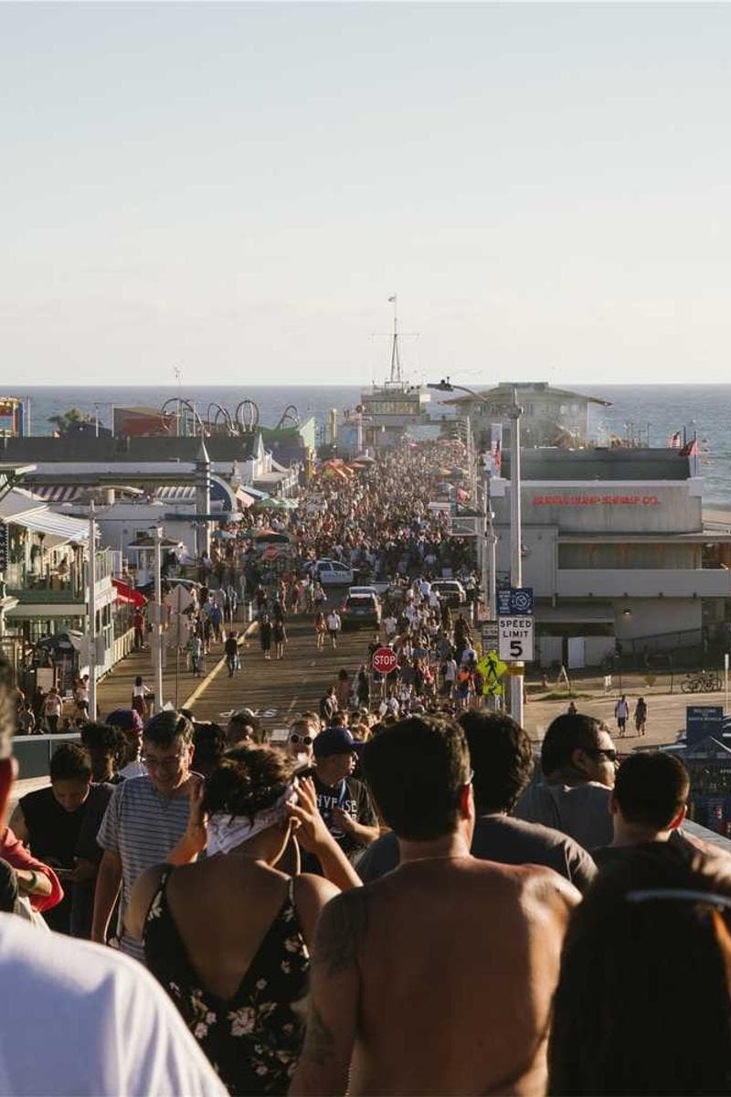 [EN] PetRebels Wall of Rebels scratching post (Snow tempora #525)