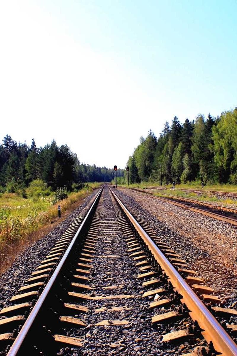 [EN] Curver Dog Food Container 10kg (DimGrey id #016)