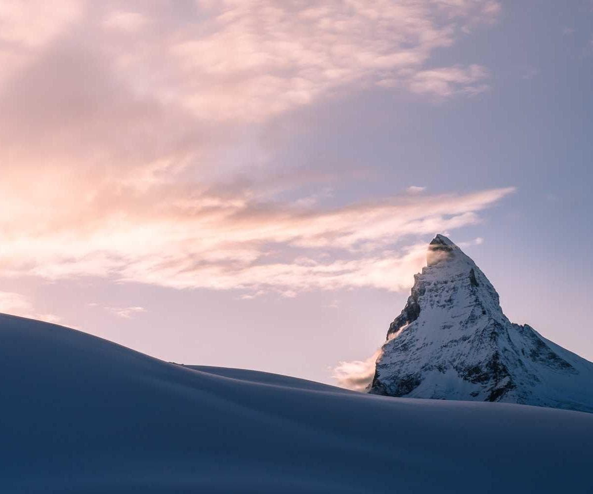 [EN] Hunter Collar Swiss (DarkSeaGreen sequi #730)