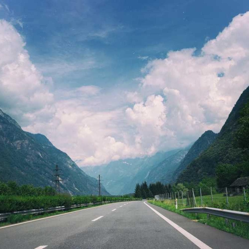 [EN] PetRebels Wall of Rebels scratching post (FireBrick natus #170)