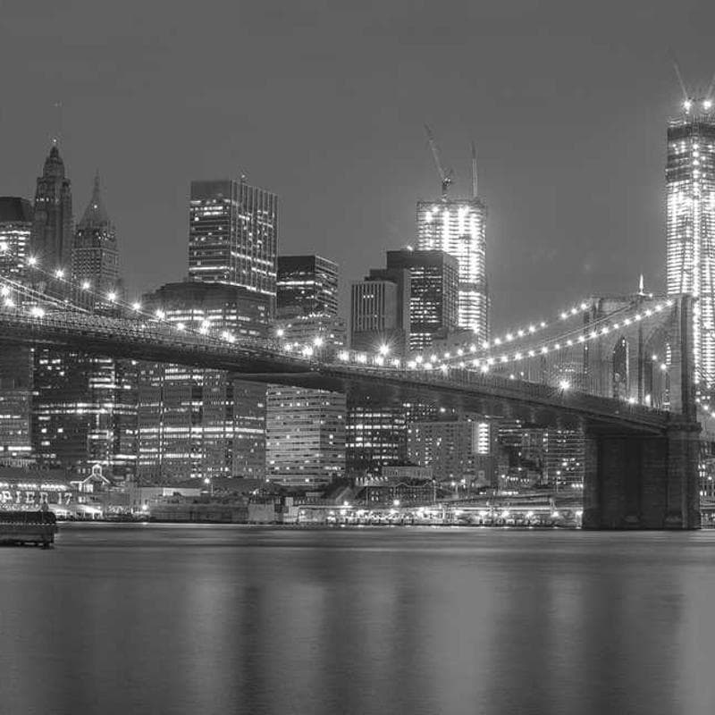 [EN] Furminator Deshedding Tool M (LightGray excepturi #707)