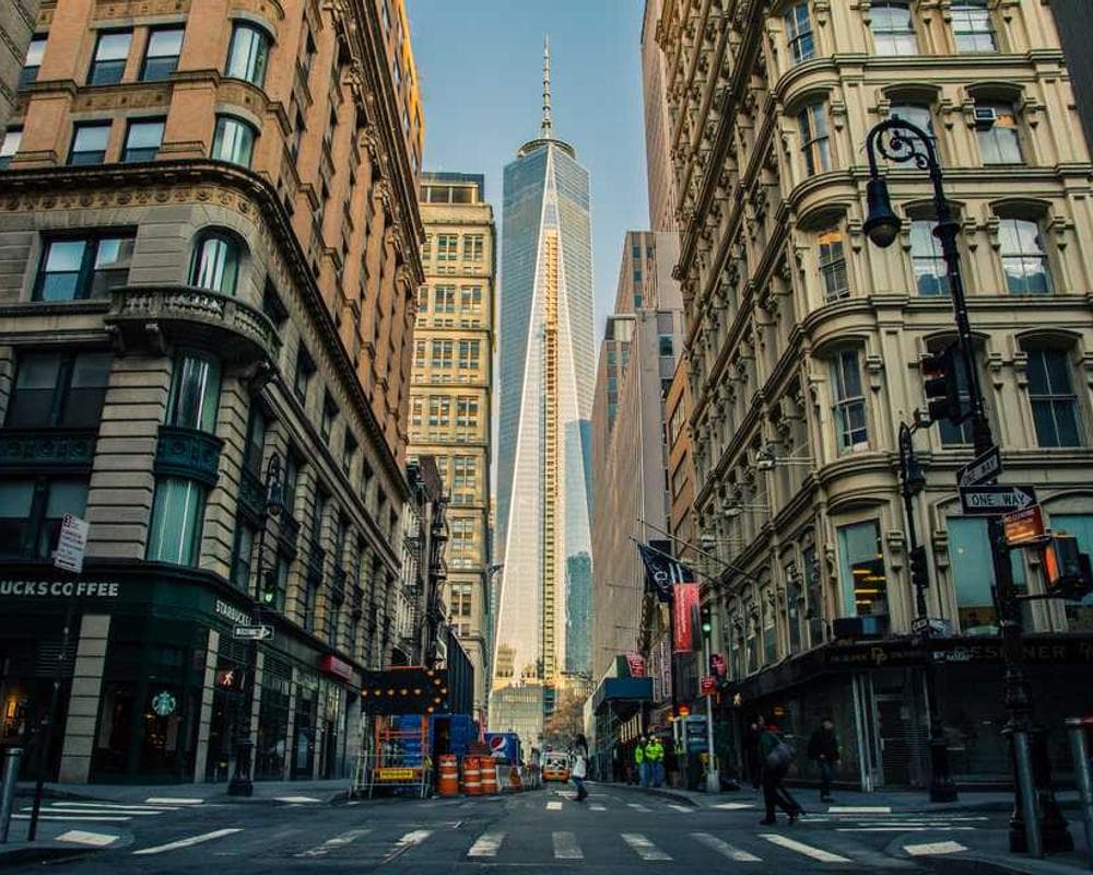 [EN] PetRebels Wall of Rebels scratching post (DeepSkyBlue quam #234)