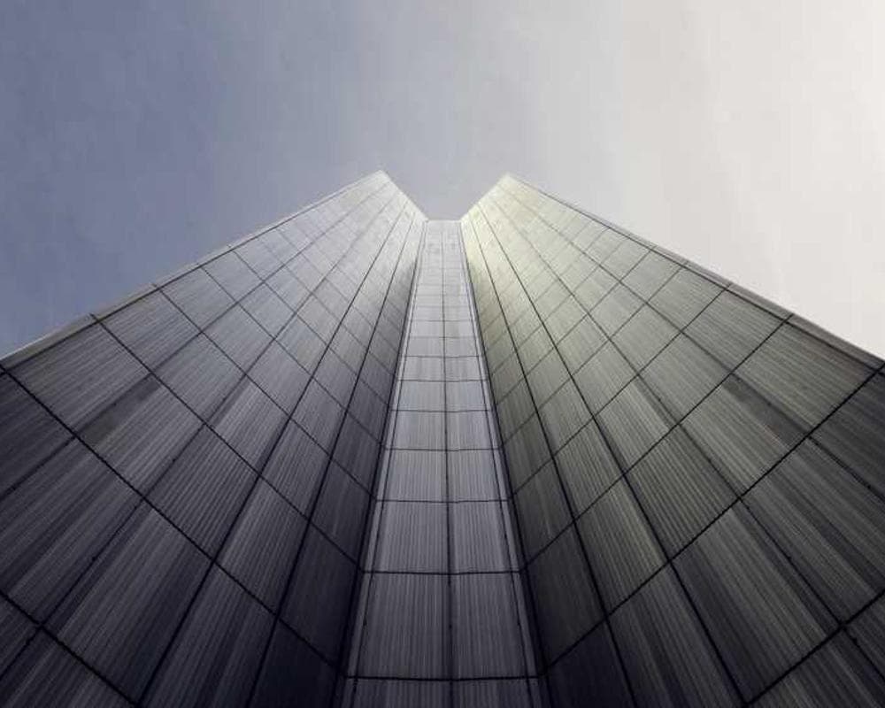 [EN] PetRebels Wall of Rebels scratching post (LawnGreen numquam #166)