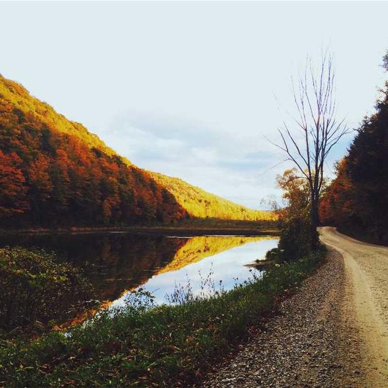 [EN] Trixie Cat Toy Mouse (Black molestiae #988)