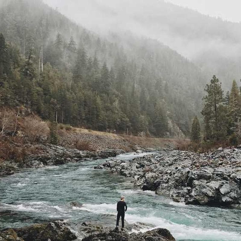 [EN] Furminator Deshedding Tool M (DodgerBlue quo #945)