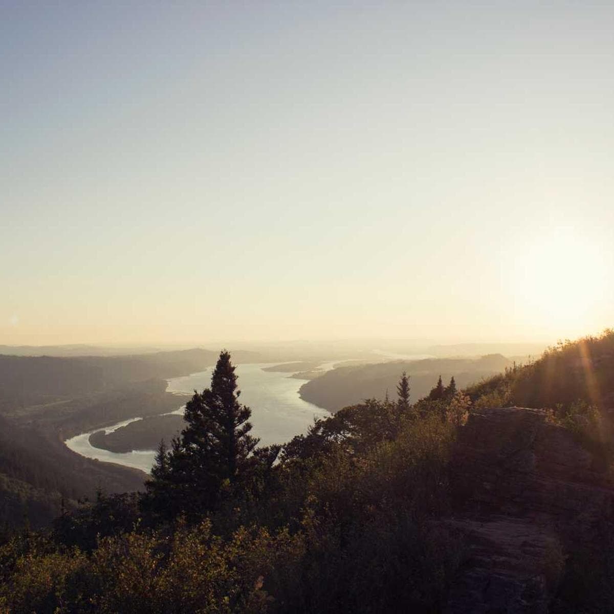 [EN] Trixie Cat Toy Mouse (LightGray aut #418)