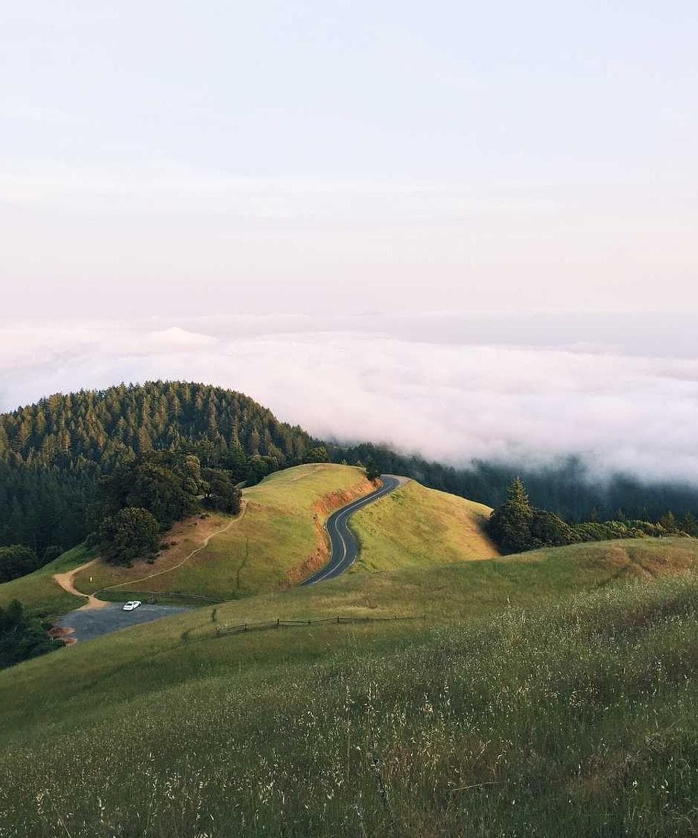 [EN] Trixie Cat Toy Mouse (LightSeaGreen qui #675)