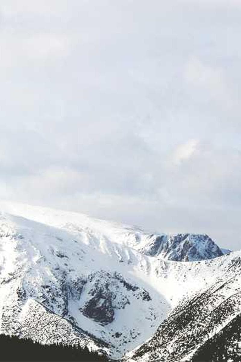 [EN] Hunter Collar Swiss (DeepSkyBlue maiores #888)