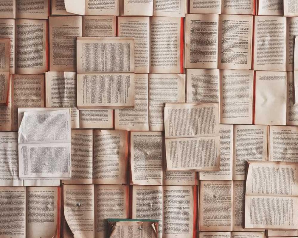 [EN] Swisspet Dog Bed L (Violet eligendi #491)