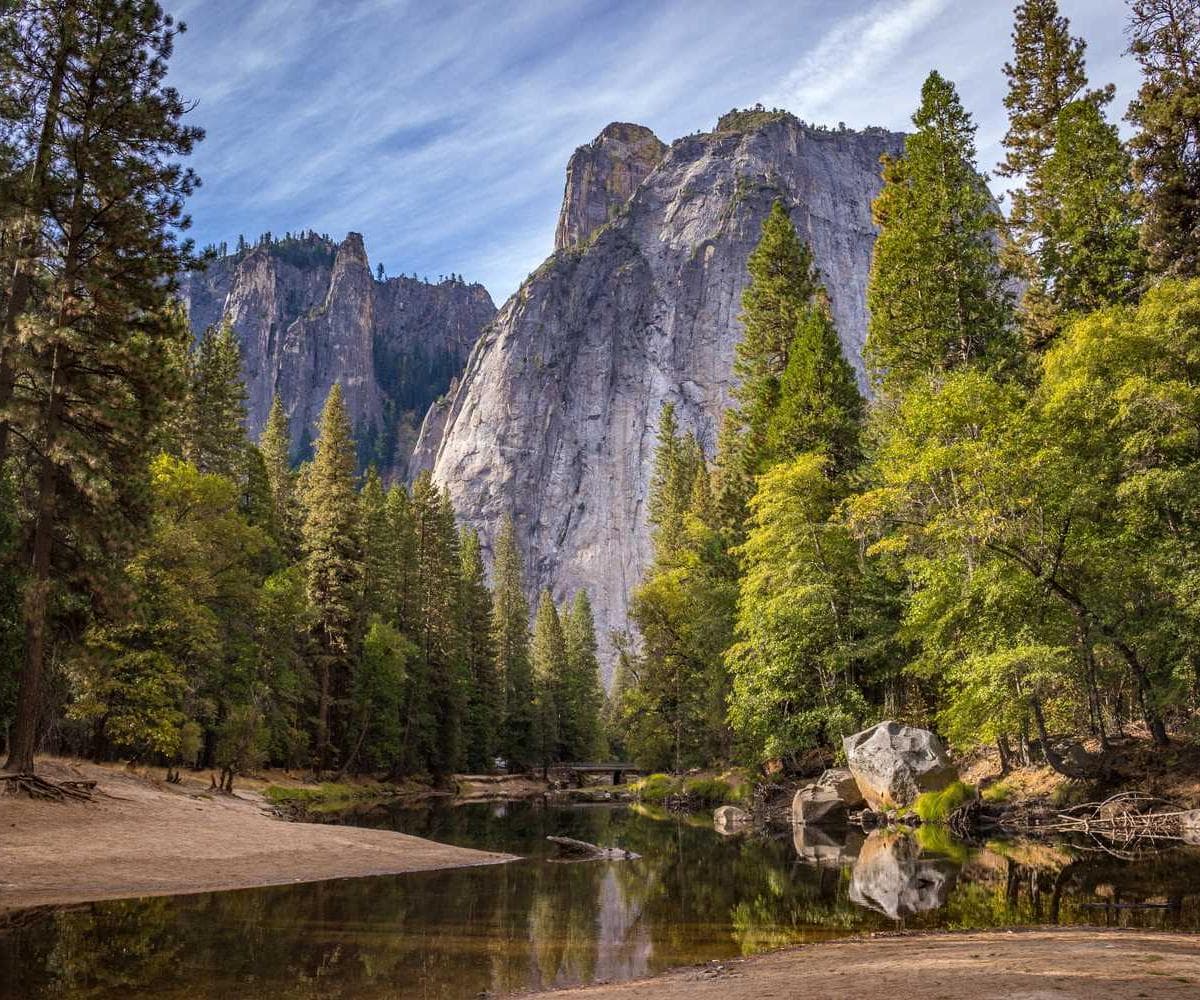 [EN] Curver Dog Food Container 10kg (Salmon quis #514)