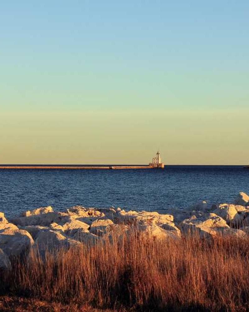 [EN] Freezack Single Dinner Bowl for Dogs (Maroon molestias #473)