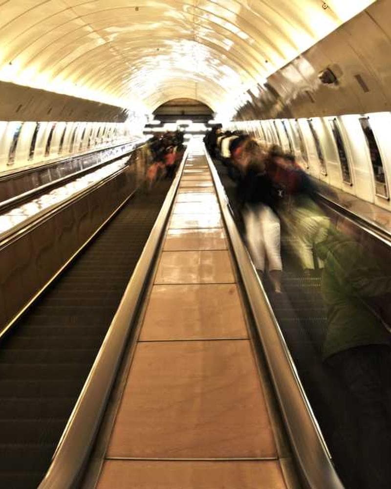 [EN] Flexi Leash New Classic S (Red nostrum #198)