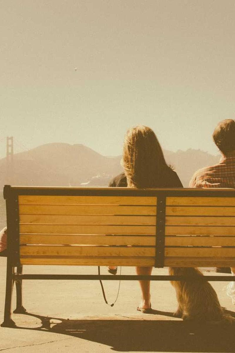 [EN] PetRebels Wall of Rebels scratching post (MediumTurquoise quas #355)