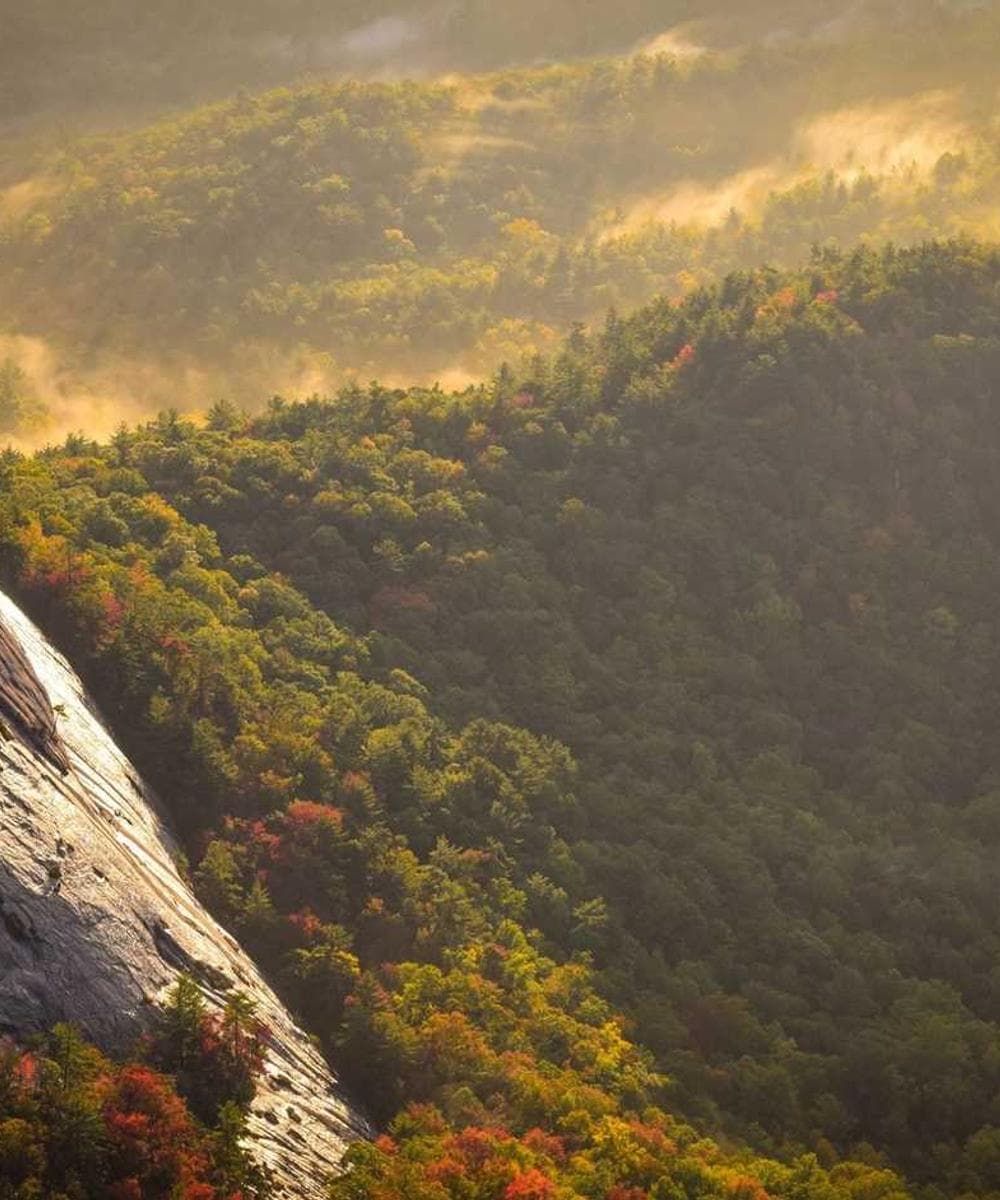 [EN] Royal Canin Urinary S/O (Navy laboriosam #025)