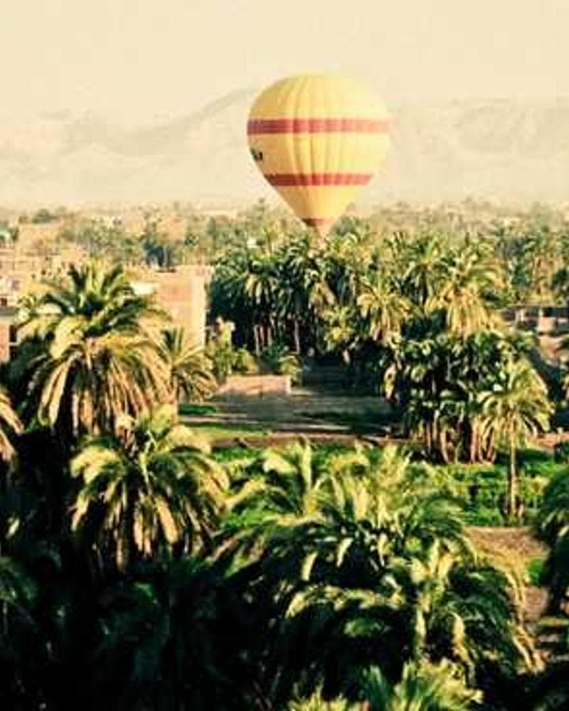 [EN] bePURE Liquid Chicken Snack (DarkSlateBlue consectetur #365)