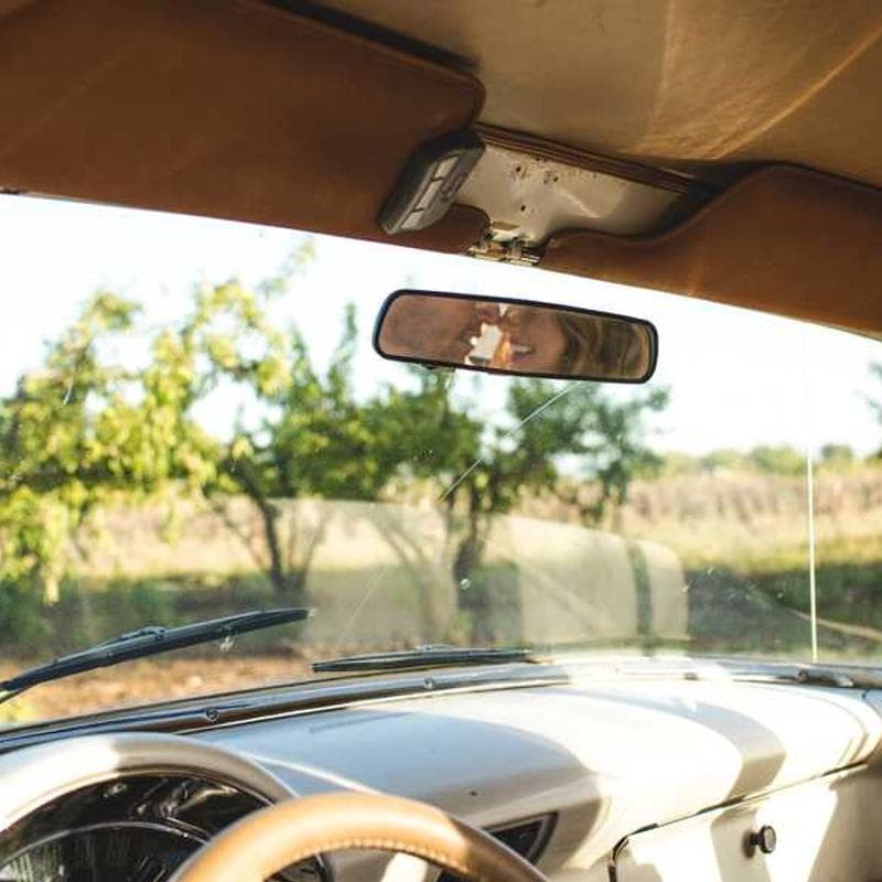 [EN] Furminator Deshedding Tool M (DarkTurquoise recusandae #912)