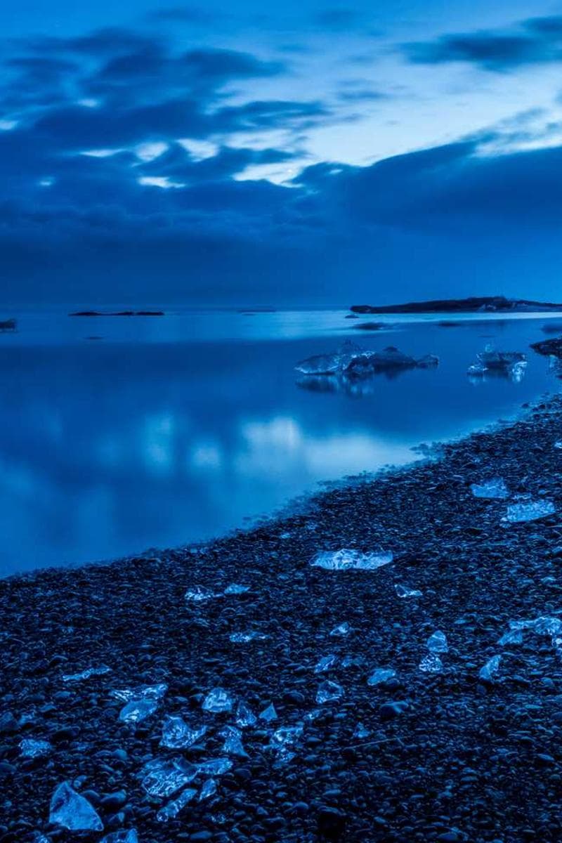 [EN] Royal Canin Urinary S/O (DeepPink dolores #654)