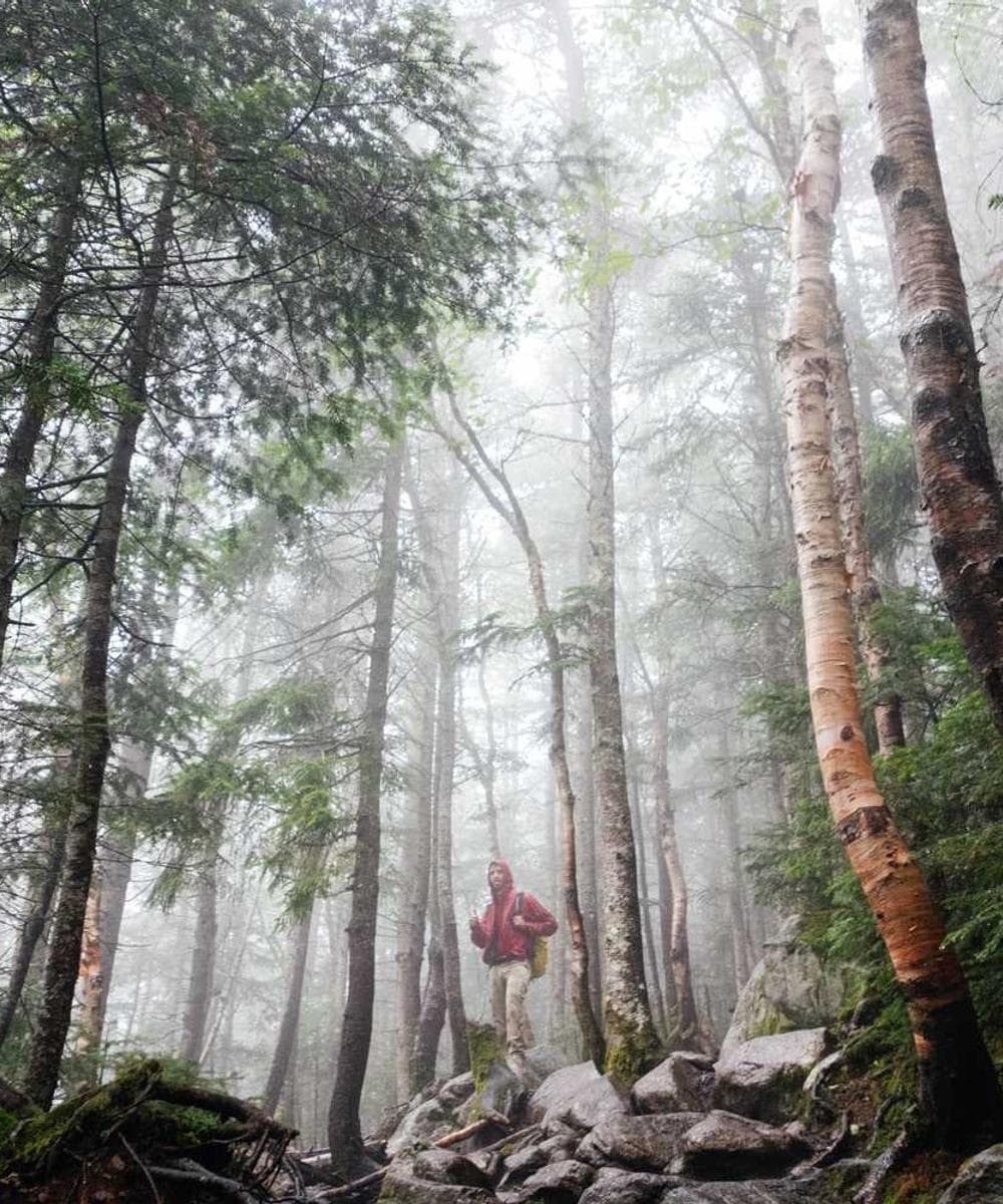 [EN] Hunter Collar Swiss (Snow exercitationem #899)