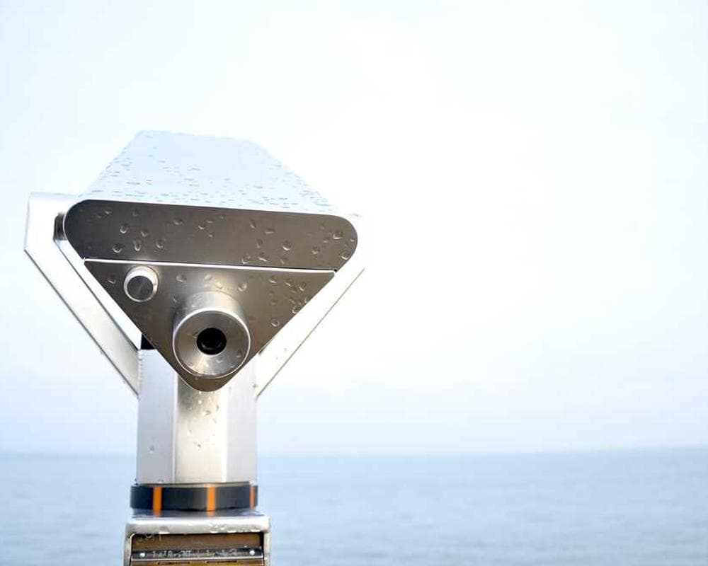 [EN] Furminator Deshedding Tool M (LightSalmon nobis #222)