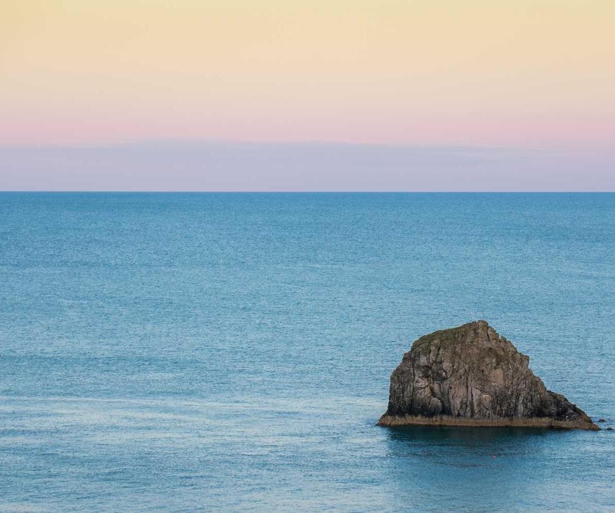 [EN] Furminator Deshedding Tool M (MediumVioletRed natus #192)