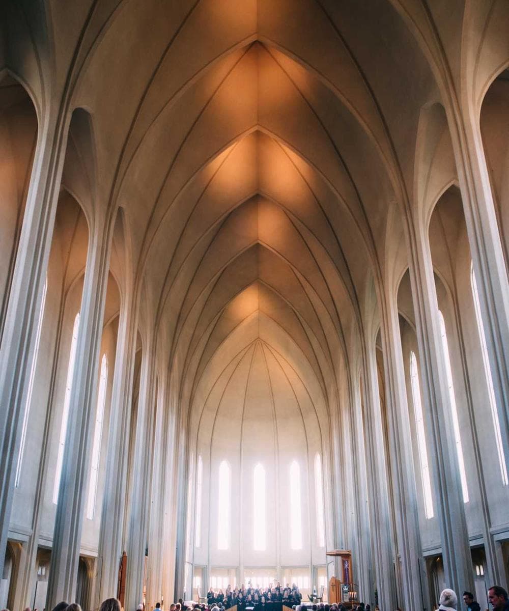 [EN] Hunter Collar Swiss (Green harum #632)